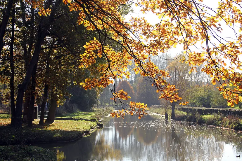 herfst 2016 beekdal sittard