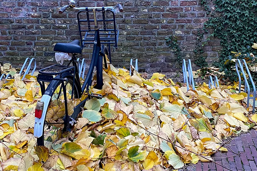 herfst herfststorm blaast bladeren op een hoop