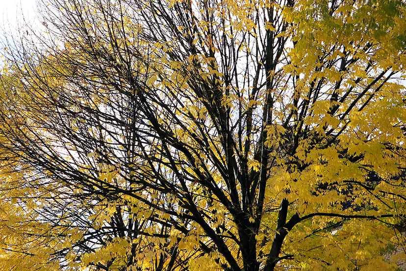 herfst herfstvakantie