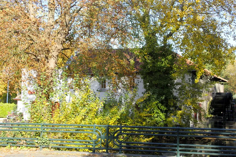 herfst stadspark sittard