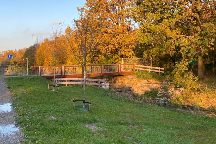 herfstkleuren langs beek in sittard stadspark november 2023