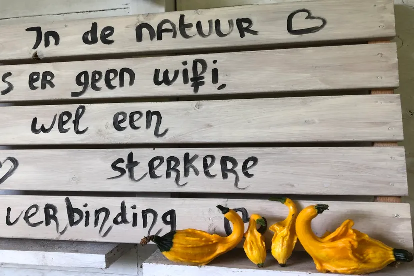 herfstverkoop door geheime tuinen in agnetentuin 2021