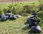 hfgaktv16tmjr4gl3crw8nsvf 139194