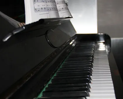 hgqc8sak539x1gjdcbs8isnch 222906