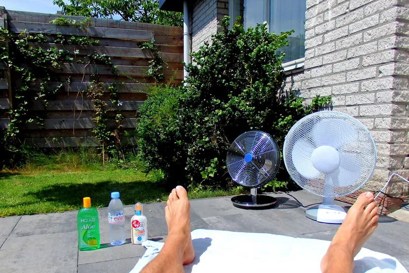 hitte vakantie thuis david van der mark cc by sa 20 via flickr 27269385940 2439a55eaf o