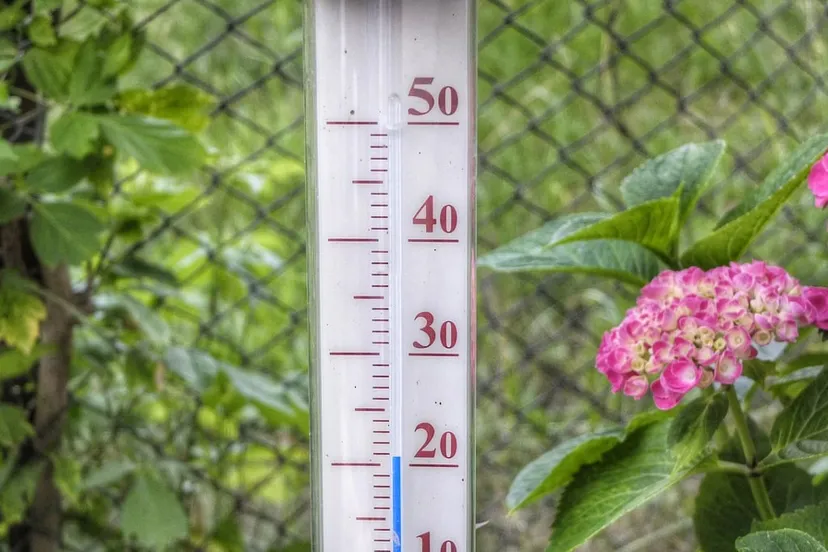 hittegolf thermometer 201 graden0