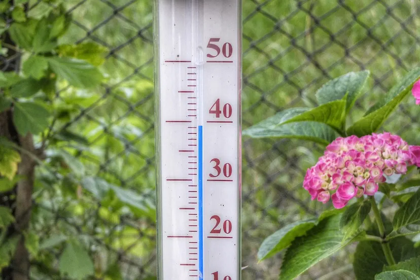 hittegolf thermometer 393 graden0