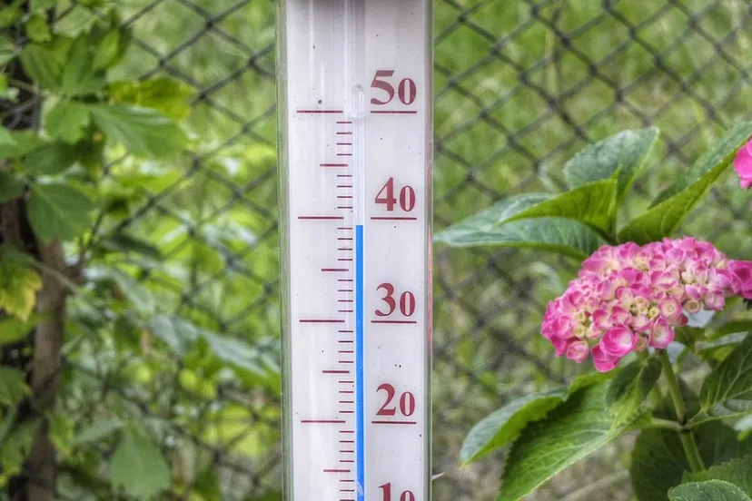 hittegolf thermometer 393 graden0