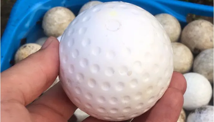 hockeyballen border collie