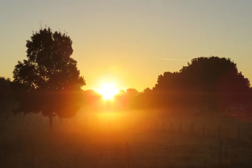 hof van limburg tom bloem 1
