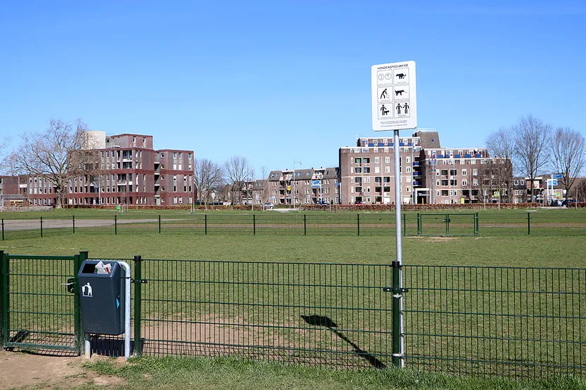 hondenspeelweide maaslandpark sittard