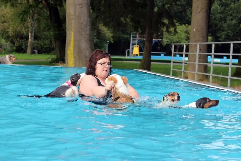 hondenzwemmen glanerbrook