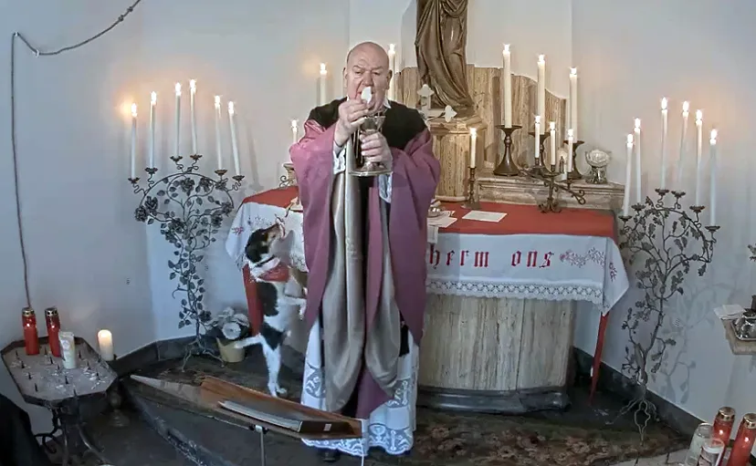 hondje in sint rosakapel