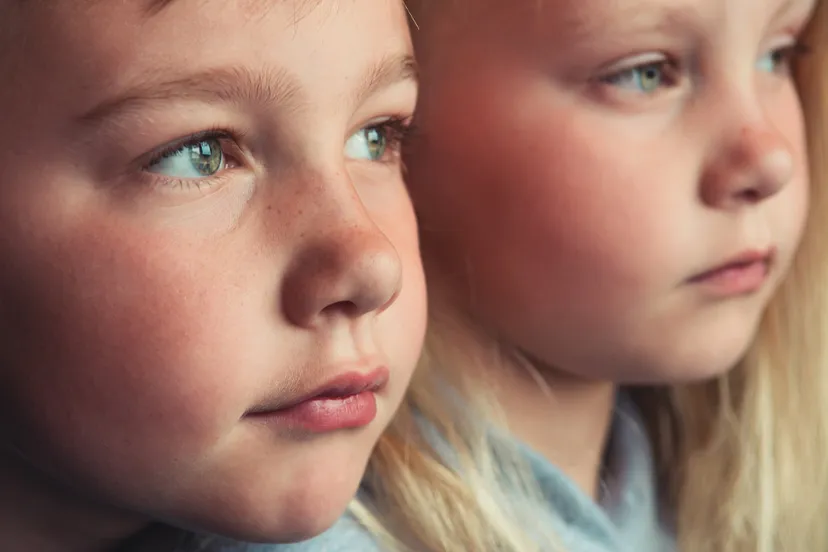 hoogsensitiviteit web