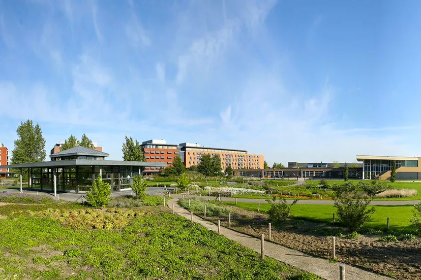 hoogveld park picknick