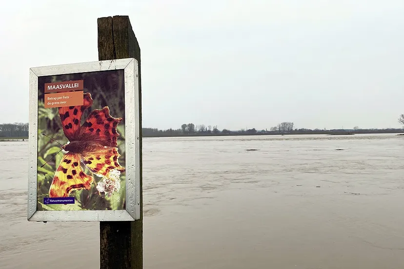 hoogwater in de maas