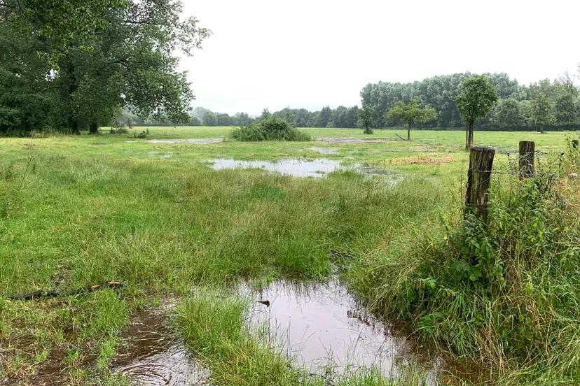 hoogwater weinad bij genhoes