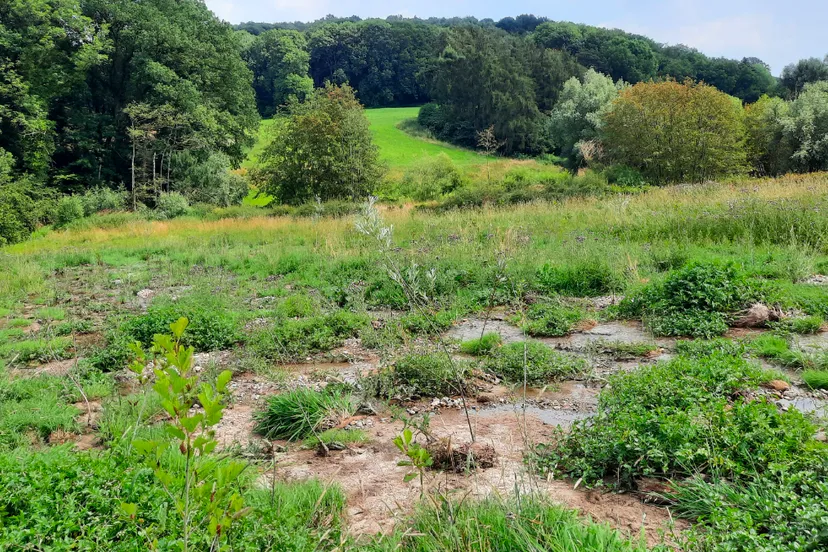 hoogwaterveiligheid zuid limburg