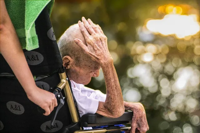 hospice 1753585 640 zorg bejaard wijkverpleegster