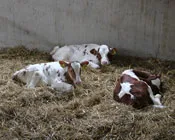 hotgt459r8t89lf2maywui3a1 177873