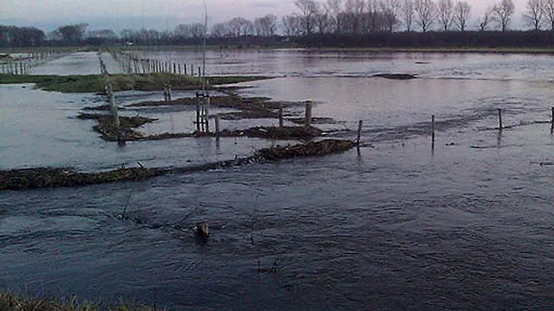 hry4wkmbjrbai1nx28jzft7c7 maaseikriroosterenweilanden2011hoogwater 16 9