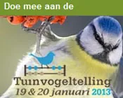 hsv92ygliwoeeowswrx085nic 203706