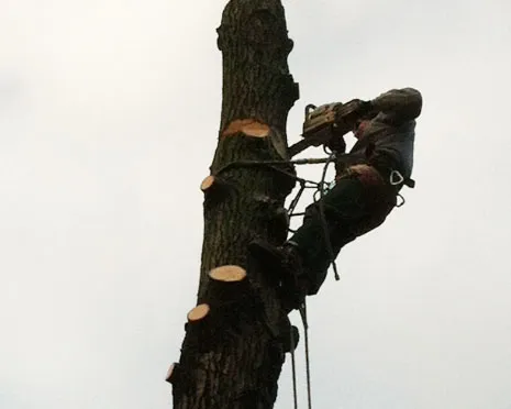 iaw4uc8o4i7t6n076zywr8fw4 201751