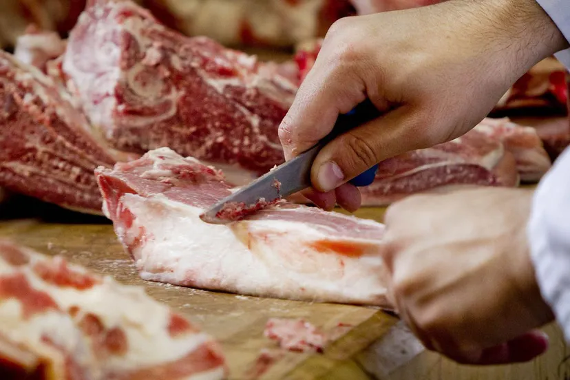 ielos05ptepi0u9to5s9k69dv slagervleesvoedseletenpaardenvleesschandaalslachtenhqfoto