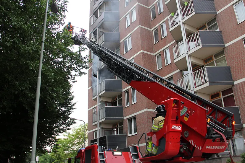 img 0204 brand cityflat leader