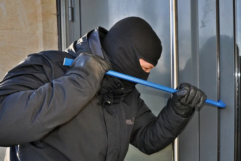 inbreker cc0 steffen salow via pixabay