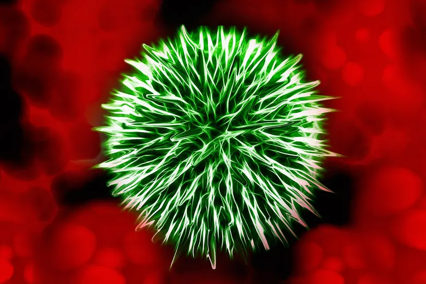 infectie cc0 via pixabay