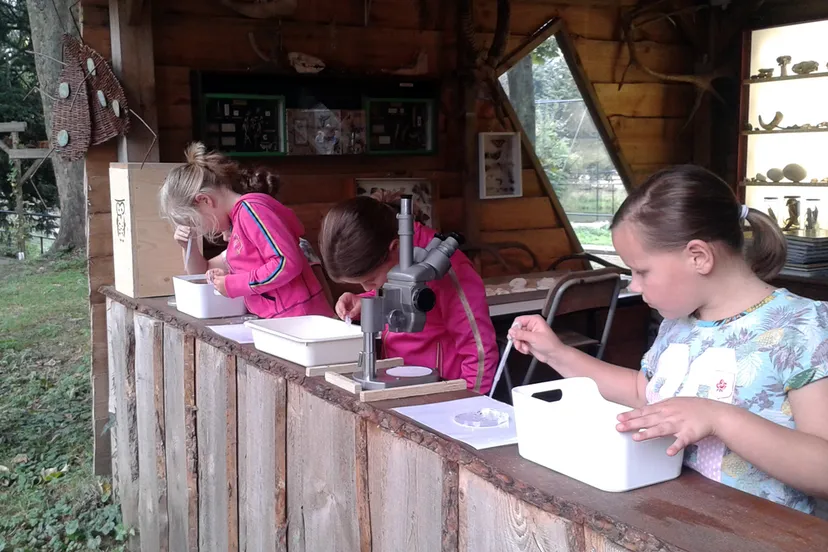 ivn slootjesdag waterdieren zoeken