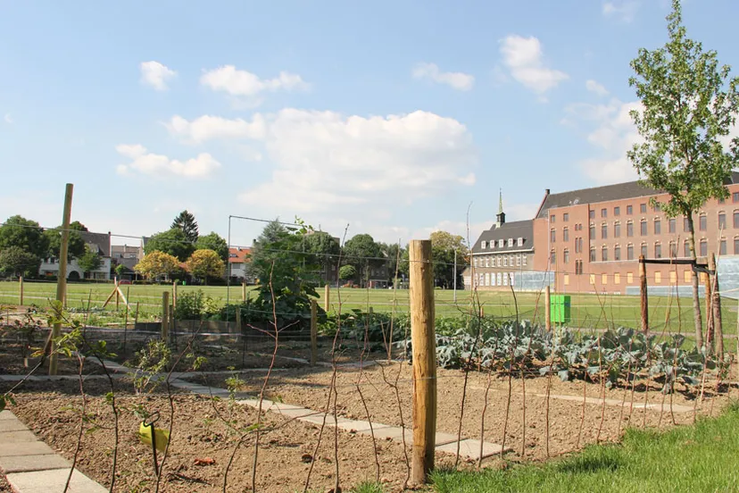 ix3of78pqky2jeh91d4eabksa cultuurkweek