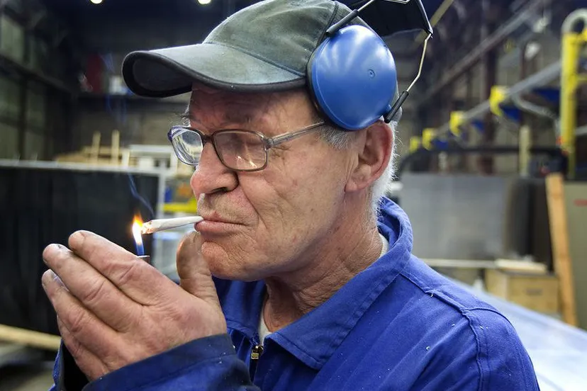 j1xh9tpy1jg668srdwy2wzjfl bejaardearbeideroudewerknemervergrijzingarbeidsmarkteconom 2