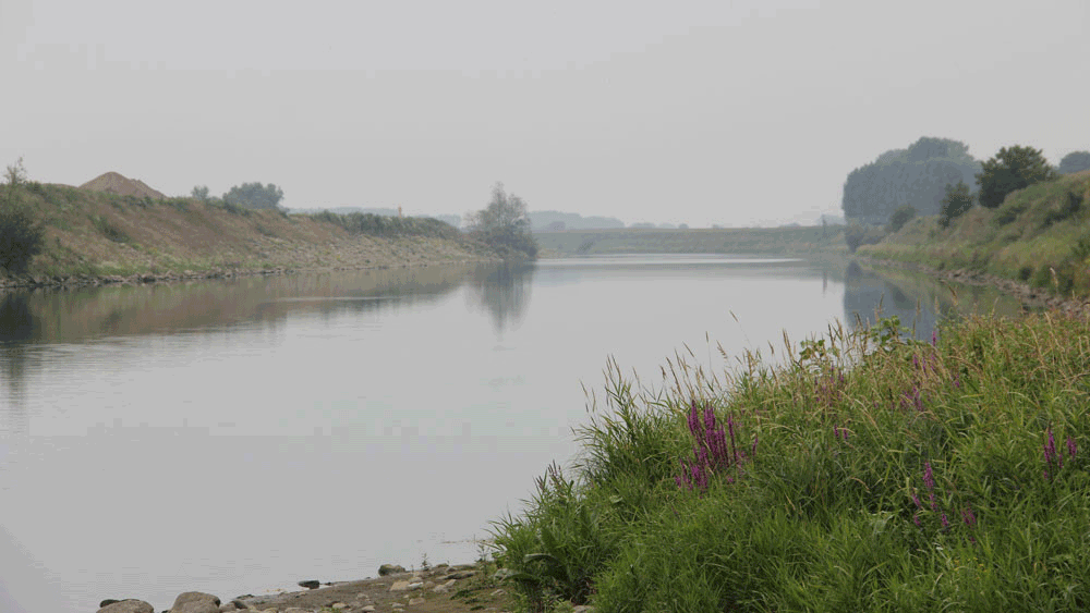 j38j7pg7pdr5ht0tgmjc1cxxh maas grevenbicht 1 16 9 2