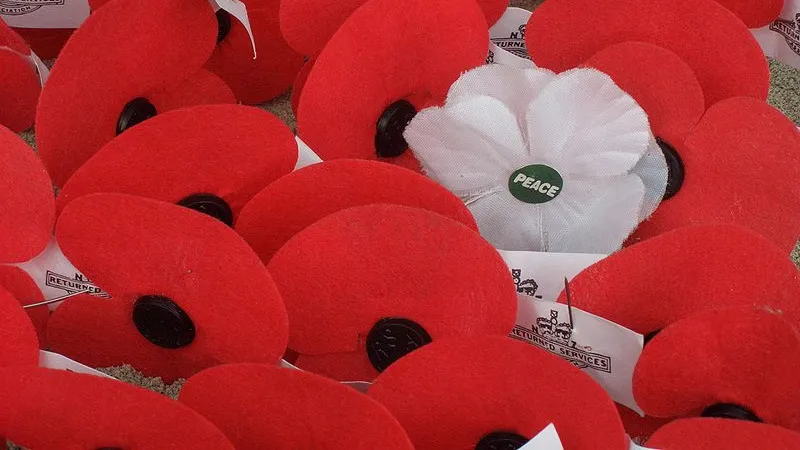 j3yaplah5hs0eqrm2qa9fnl13 poppies papieren klaprozen remembrance day