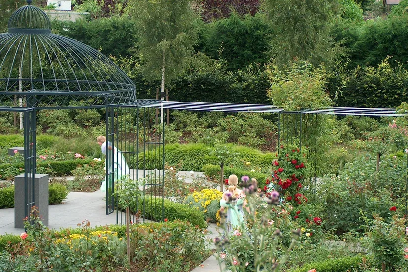 jardin des roses