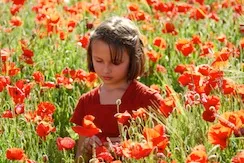 jbjc3w1x3vhpesh1j9tmfgkwj 197947