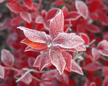 je932of37grx2flc5xcg8imef 177096