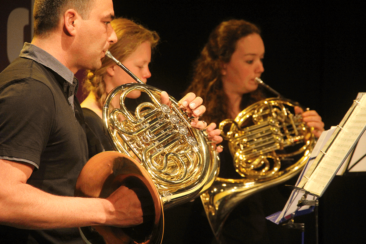 jeugdcultuurfonds limburg hoornisten