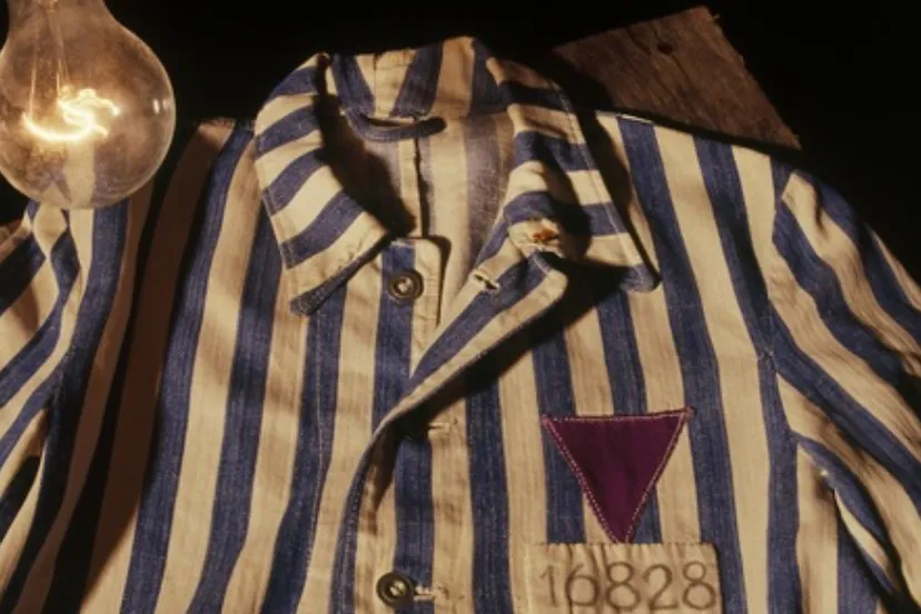 jg holocaust paarse driehoek