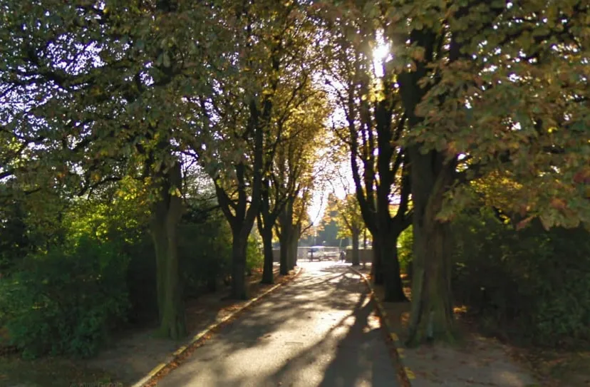 jltx4wr4p152ya6ziqtb4qxdm kastanjes oprijlaan begraafplaats lahrstraat sittard