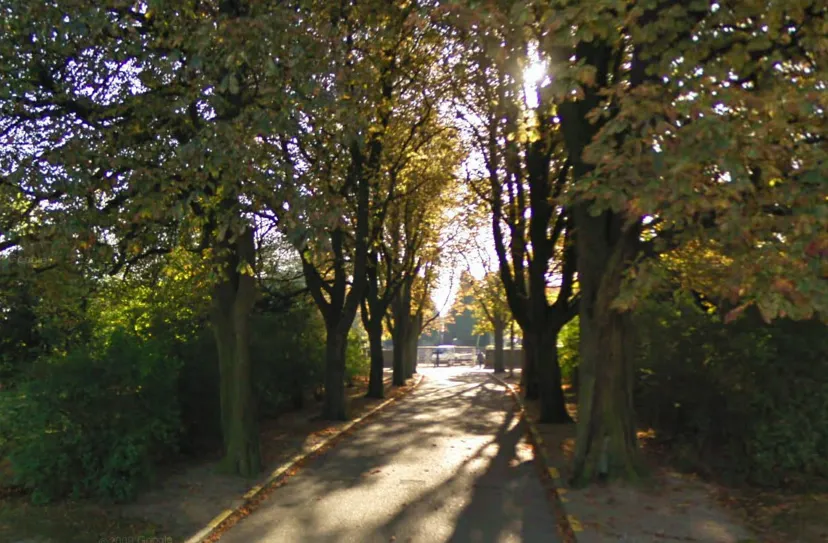 jltx4wr4p152ya6ziqtb4qxdm kastanjes oprijlaan begraafplaats lahrstraat sittard