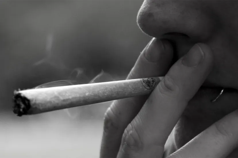 joint ashton cc by 20 via wikimedia commons