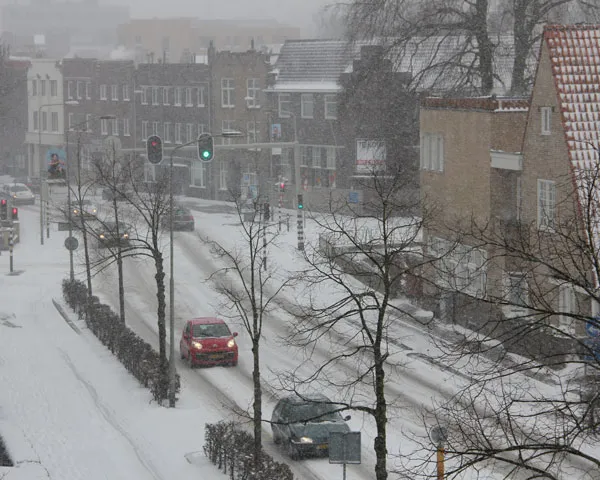 k404ujfy3dp1l8w8frfisrp7v 217703