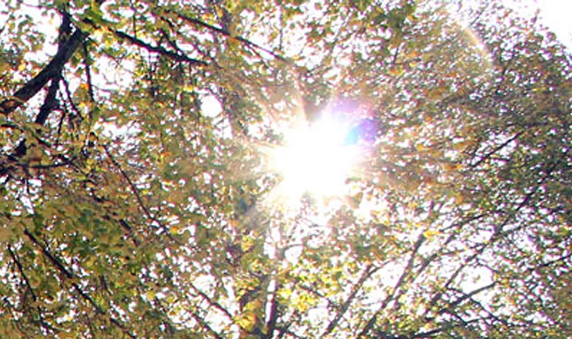 k69506jzpbq1m8qtlanmttowx warme en zonnig herfstweer op 1 november 2014