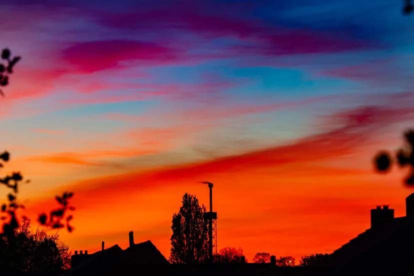 kaers van gelaen avondrood 2