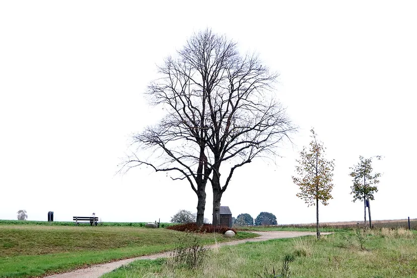 kale bomenduo kollenberg kapel smarten