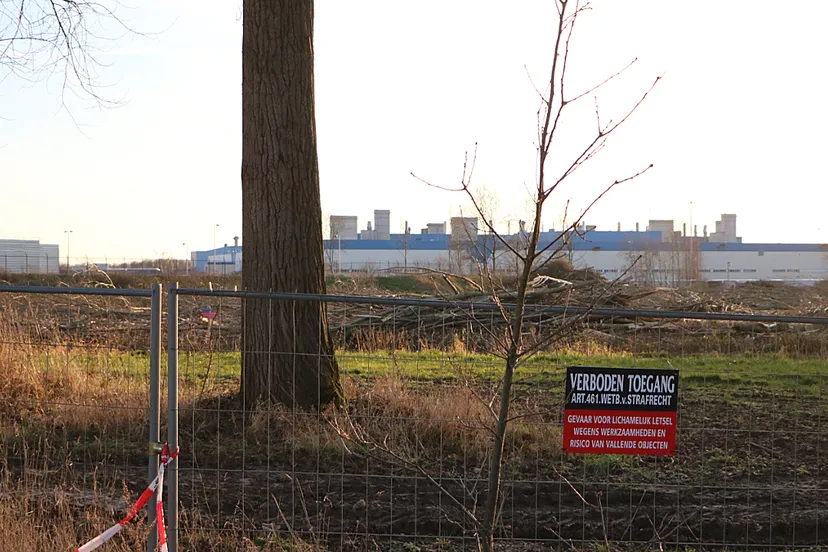 kap bomen bij nedcar voltooid