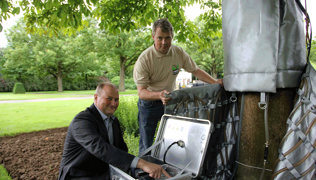 kastanjebloedingsziekte warmtebehandeling 0